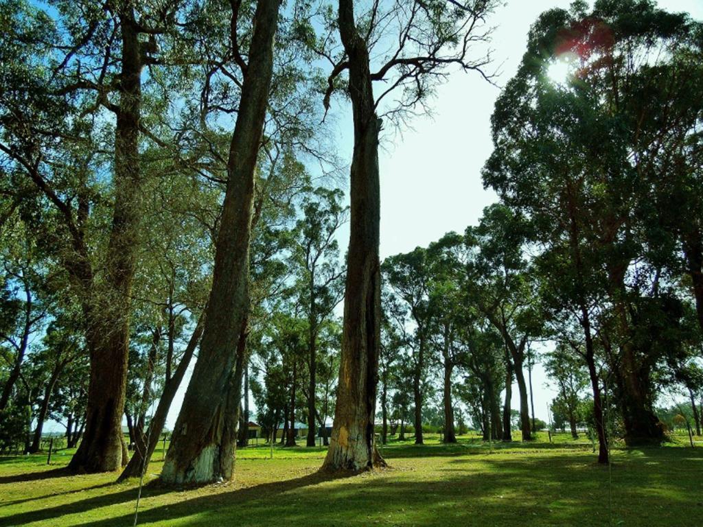 Inn The Tuarts Guest Lodge Busselton Accommodation - Adults Only Buitenkant foto