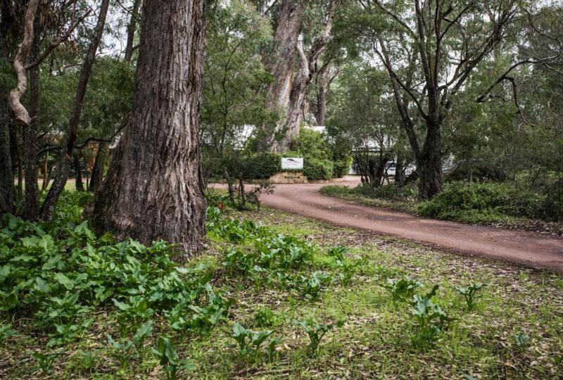 Inn The Tuarts Guest Lodge Busselton Accommodation - Adults Only Buitenkant foto